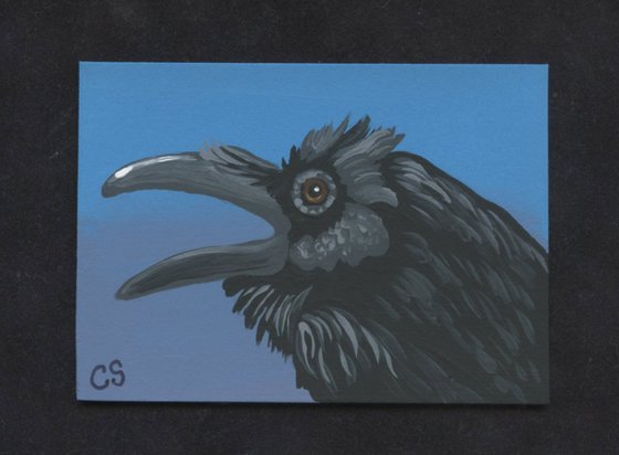 ACEO ATC Original Painting Raven Crow Wildlife Bird Art-Carla Smale