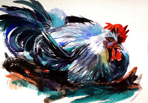 Resting rooster