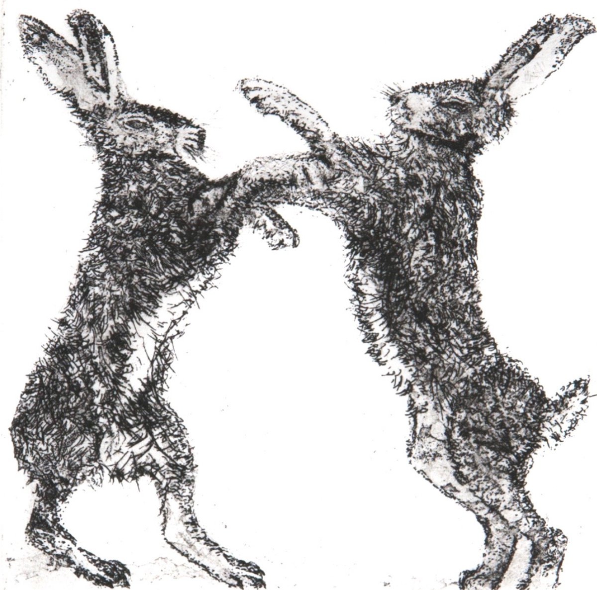 Two Hares by Julie Dyer