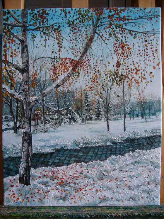Snowy neighbourhood
