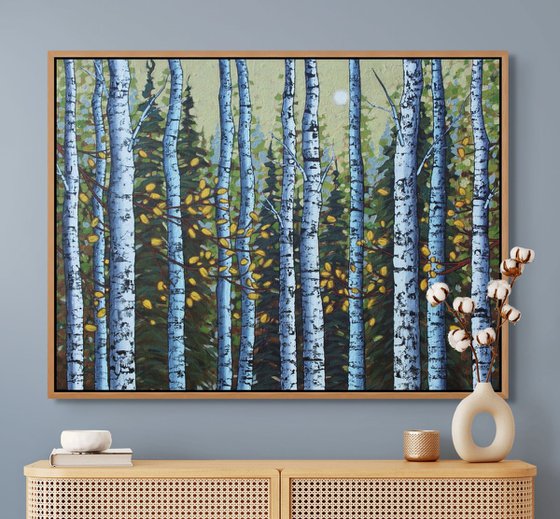 Autumn Birch Woods