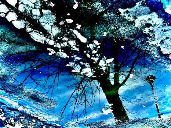 Shattered Reflection
