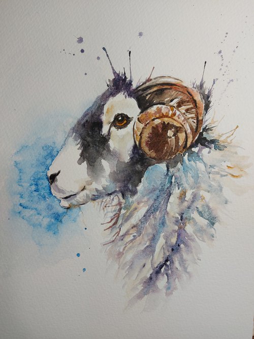 Sheep by Sue  Green