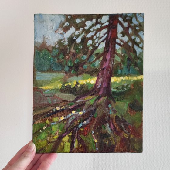Old tree — original oil painting