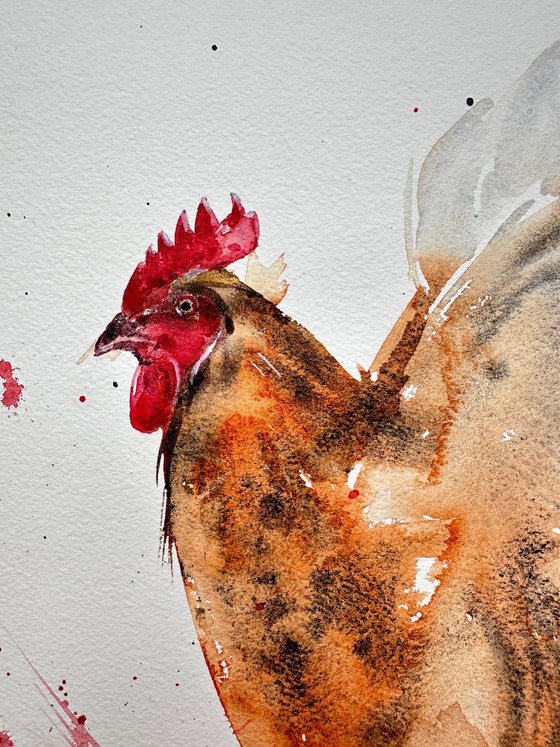 Birds: Turkey and Rooster