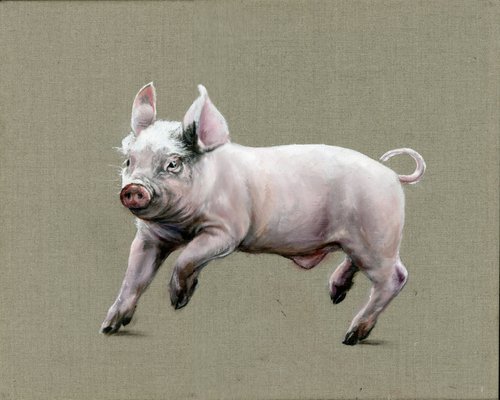 Pigs Might Fly- racing piglet by Una Hurst