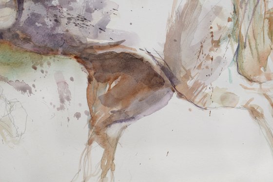 Horse in the run  5 (70x50)