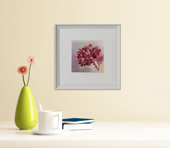 Hydrangea framed