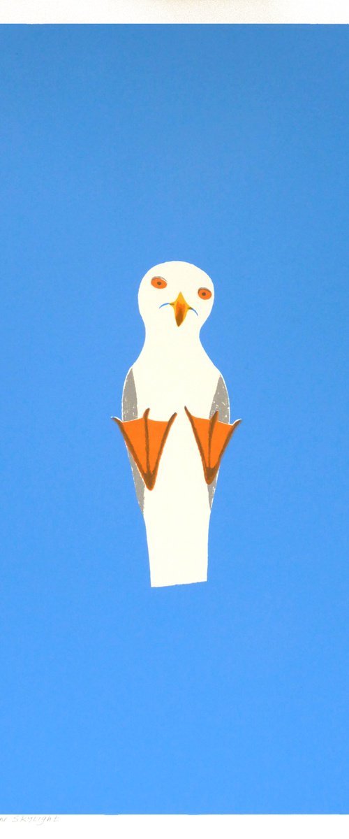 Seagull on Skylight by Simon Tozer