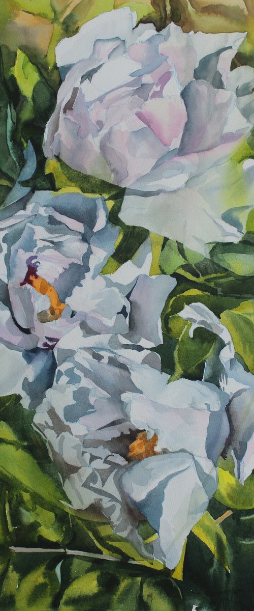 WHITE PEONIES #9 by Yurii Pashkov