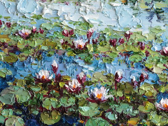 Water Lilies
