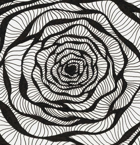 OP ART ROSE