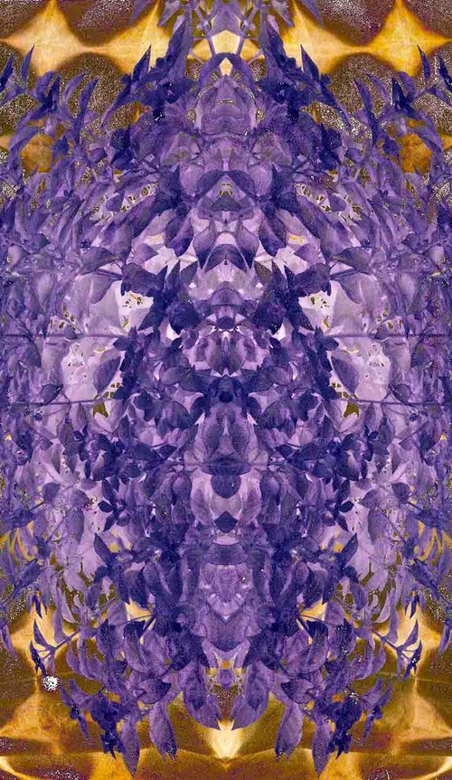 birth of Violet by Sumit Mehndiratta