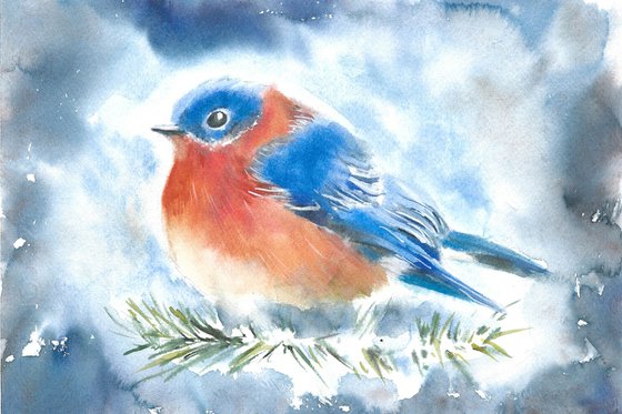 Watercolor robin bird on a fir tree branch. Blue snowy background. Winter illustration.