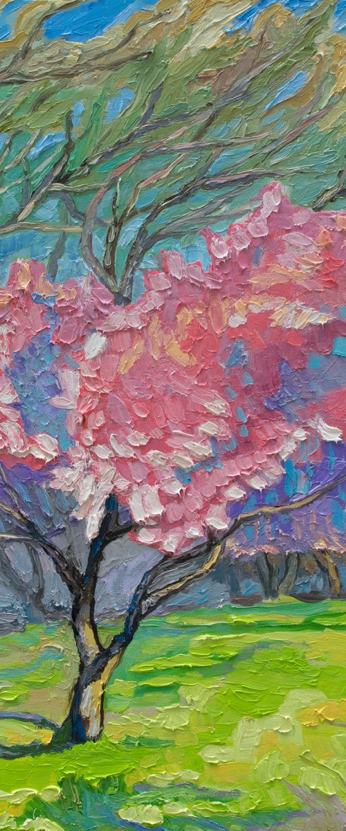 A Blossom Tree by Lilit Vardanyan