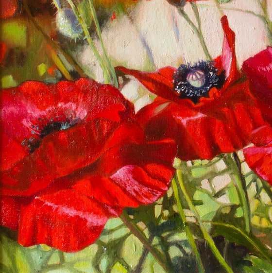 "Scarlet flashes"  flower  poppies summer liGHt original painting  GIFT (2018)