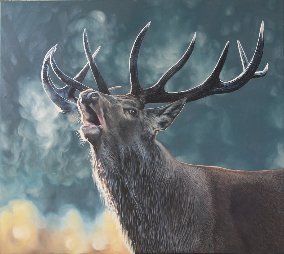 Photorealistic Oil Painting , Deer By Marie Madej, 35 X 31, Artwork For Sale On Artfinder