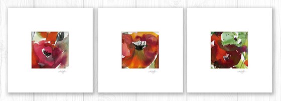 Abstract Florals Collection 7 - 3 Flower Paintings in mats by Kathy Morton Stanion