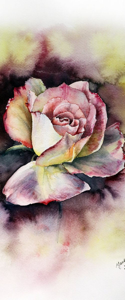 Dramatic Rose in Watercolor - ORIGINAL Painting Ready to Ship by Yana Shvets