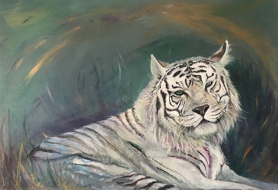 White Tiger in the Pink