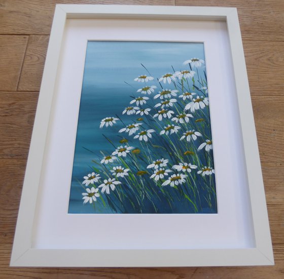 Coastal Daisies