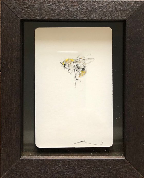 BEE PORTRAITS ON WHITE PLAYING CARDS (Carder Bee)