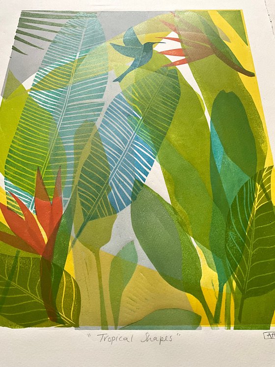 Tropical Shapes