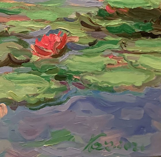 WATER LILY POND - Landscape with rose waterlily - oil painting - small size