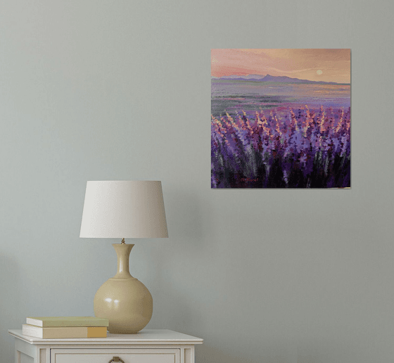 Blushing lavender morning