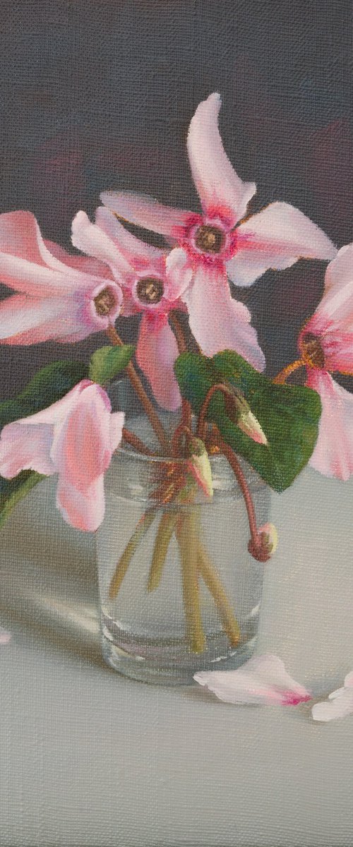 Cyclamens by Irina Trushkova