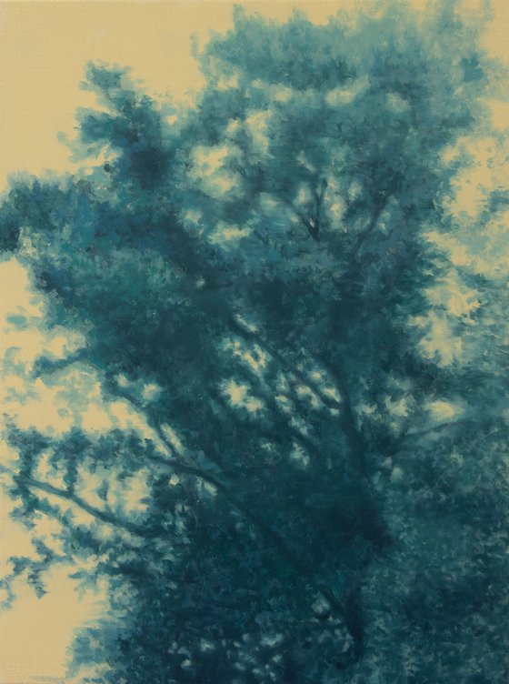 Ecos de Tarkovsky VI