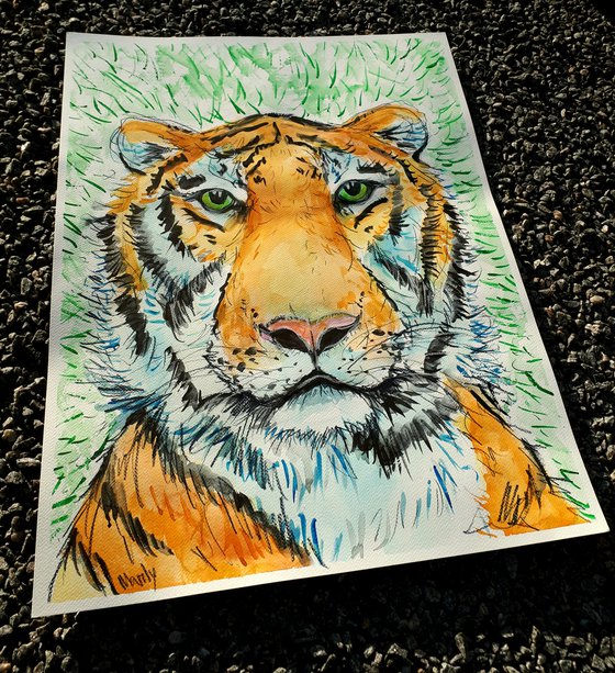 Mr.Tiger