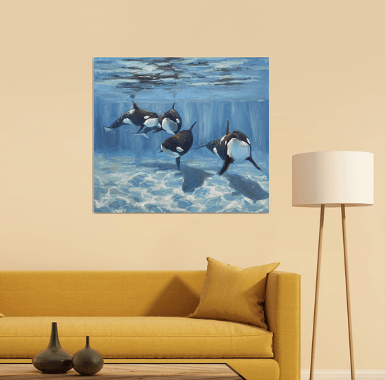 "A pod of Killer Whale"