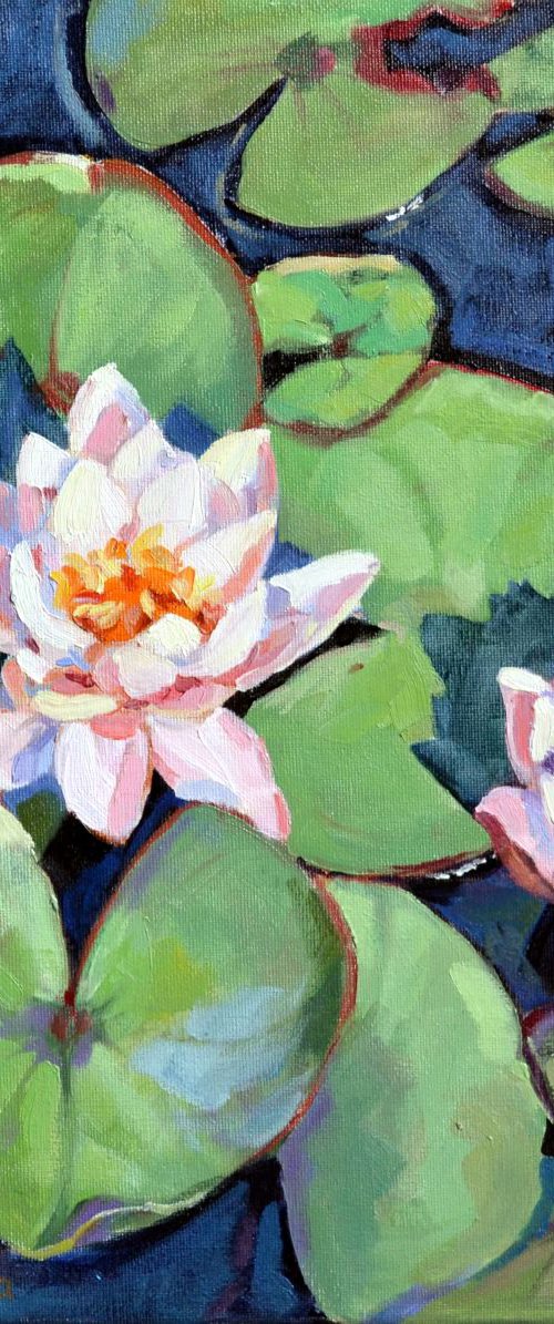Waterlilies by Irina Ushakova