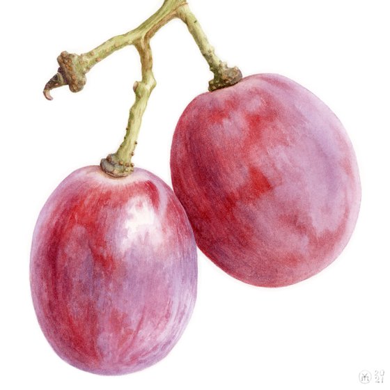 2 Red Grapes