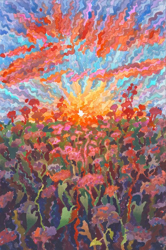 Sunset in the Buckwheat field