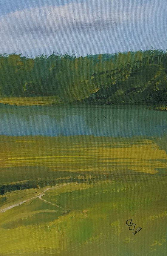 " River backwater in the summer "