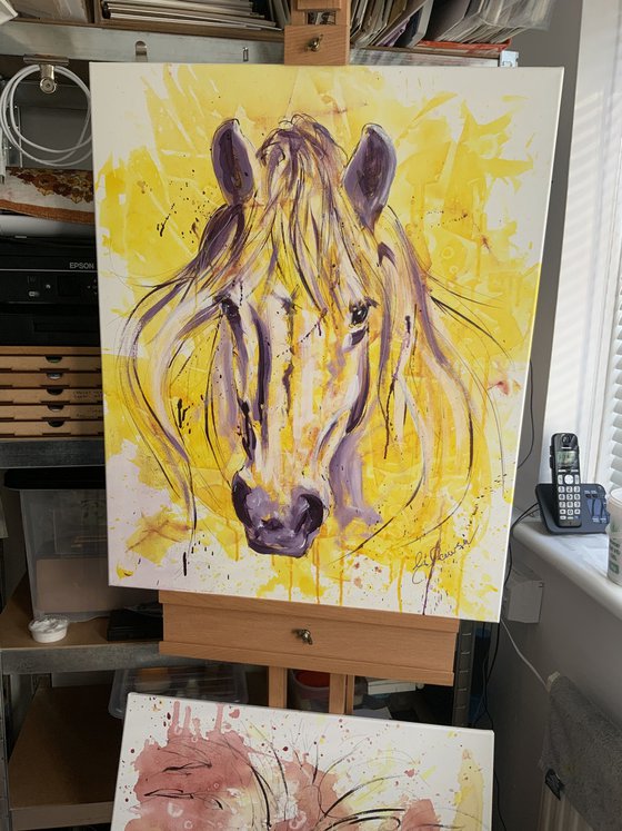 Horse head on yellow