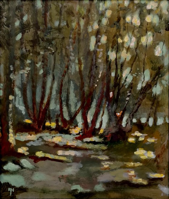 Forest light