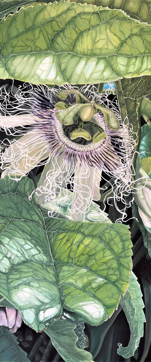 Swoon and Bloom - Passion Flower by HSIN LIN