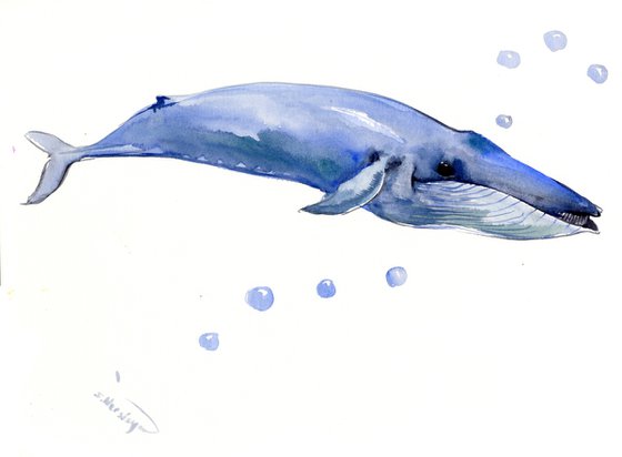 Blue Whale