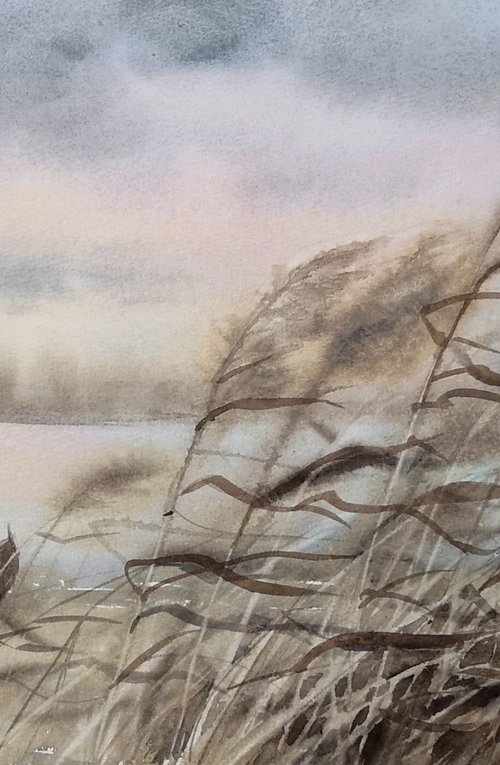 Dry reed on the river - Dry Gr by Olga Beliaeva Watercolour