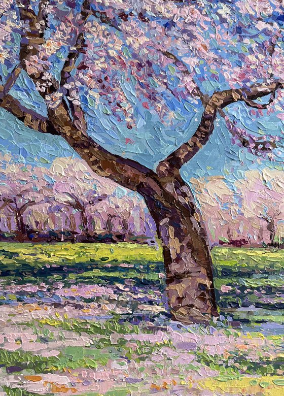 Almond Blossom Tree