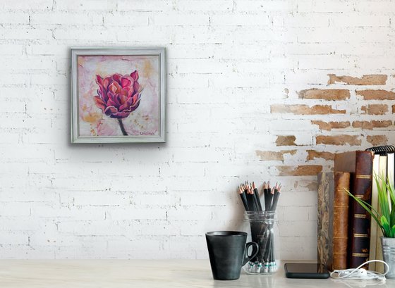 Framed Pink Tulip 50