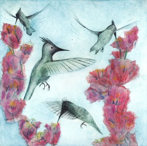 Hummingbirds, St. Lucia II by Marian Carter