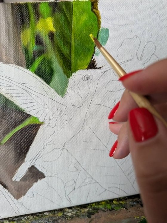 Tropical Hummingbird