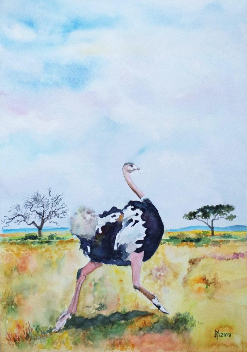 Impressionistic Animal Watercolour By Zoran Mihajlovic Muza, 11 X 16", Ostrich, Original Artwork
