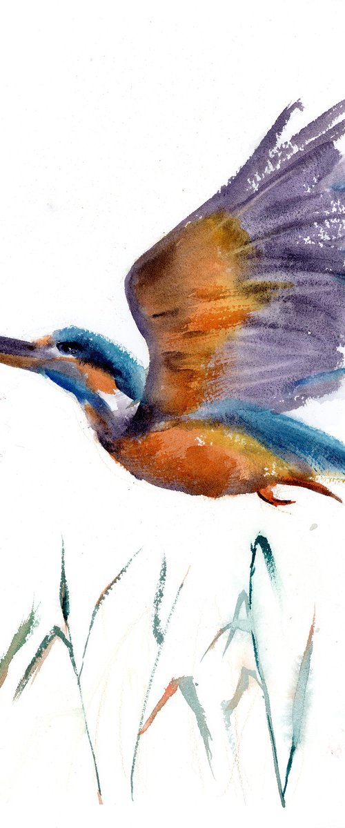 Flying Kingfisher  -  Original Watercolor Painting by Olga Shefranov by Olga Tchefranov (Shefranov)