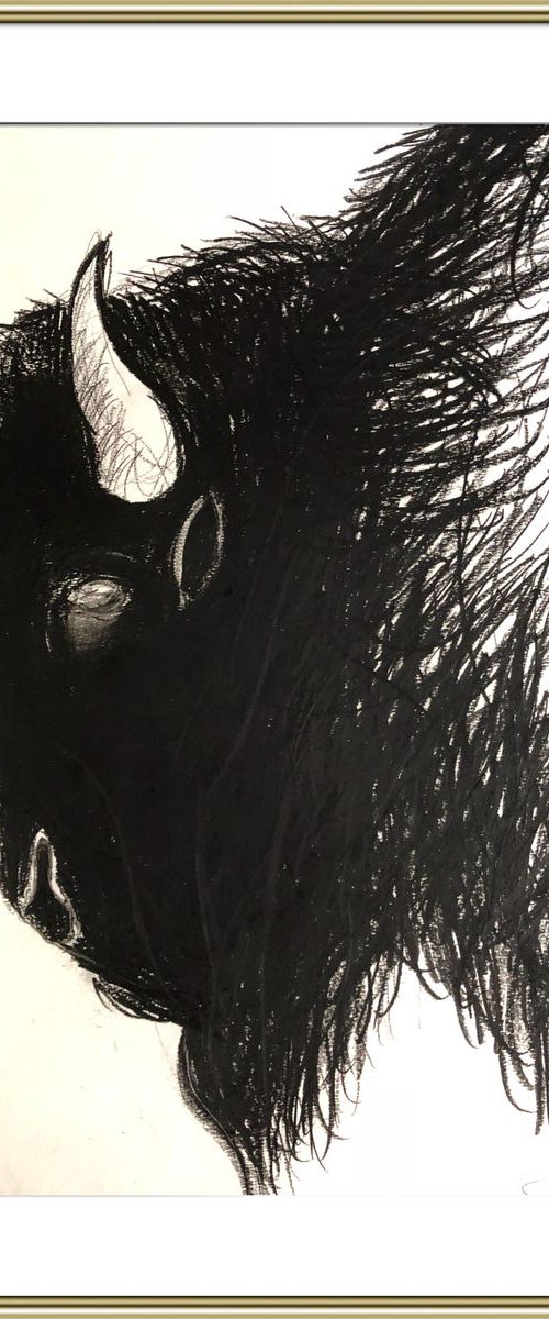 American Bison by Shabs  Beigh