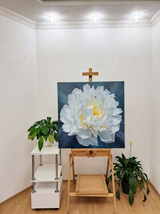 Snow-white peony